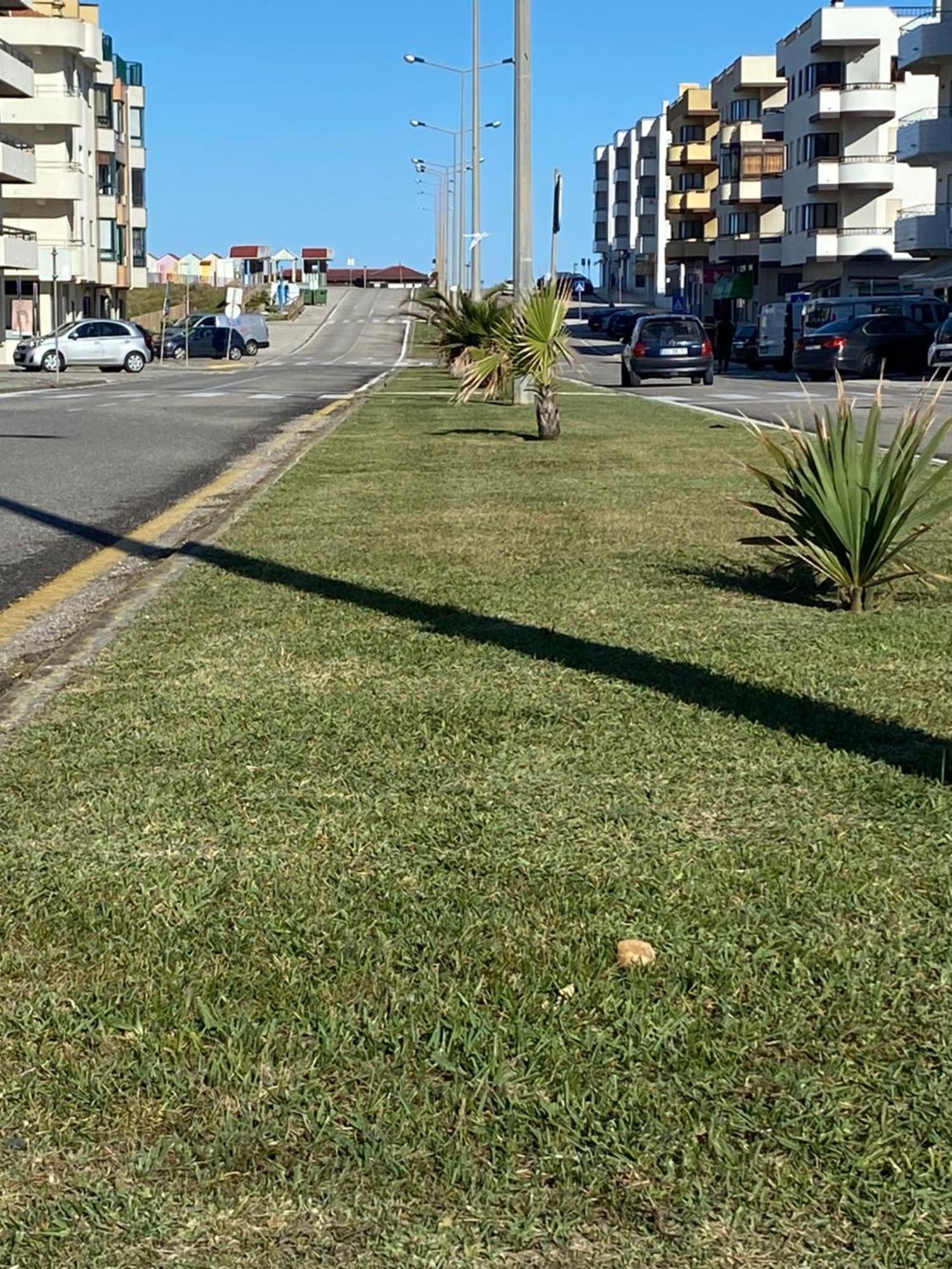 Apartamento Vista Mar Vieira de Leiria Exterior foto